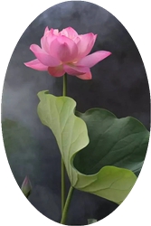 u=3041774129,2053277362&amp;fm=26&amp;fmt=auto.webp.jpg