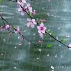 ΢��ͼƬ_20220412172758.jpg