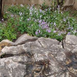 �������������