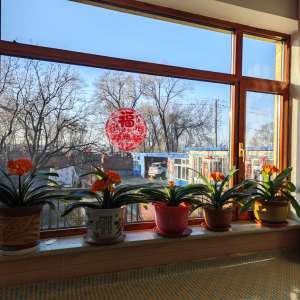 �������������