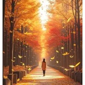 �ҵ����