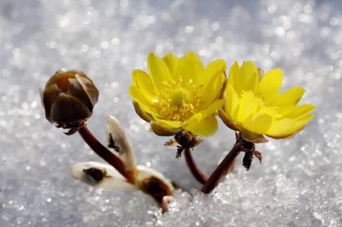 u_2523363991_84019348&amp;fm_26&amp;gp_0.jpg