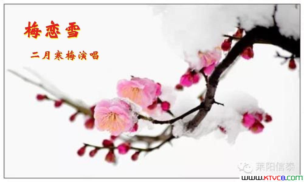 ÷��ѩ Ƭͷ��÷.jpg