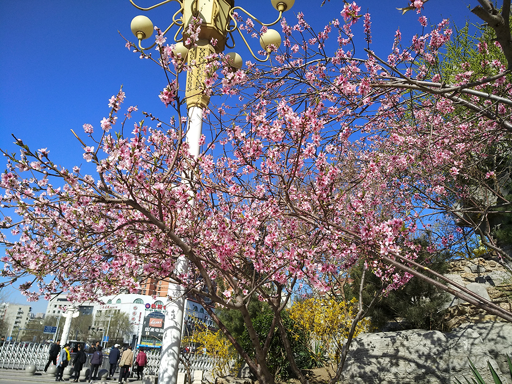 IMG_20190401_091403.jpg