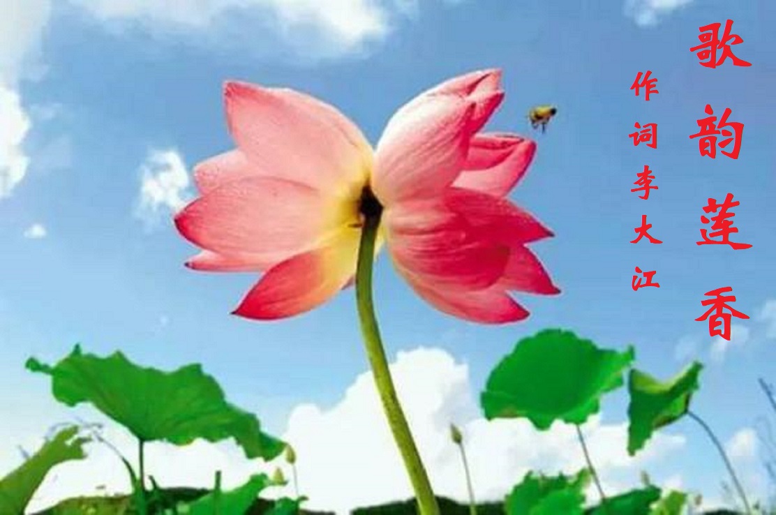 3704 ��������Ƭͷ22.jpg