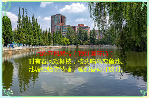 756370_20190822205046811020_0_����.jpg
