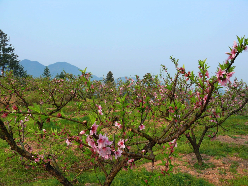 07���Ϫ�� 098.jpg