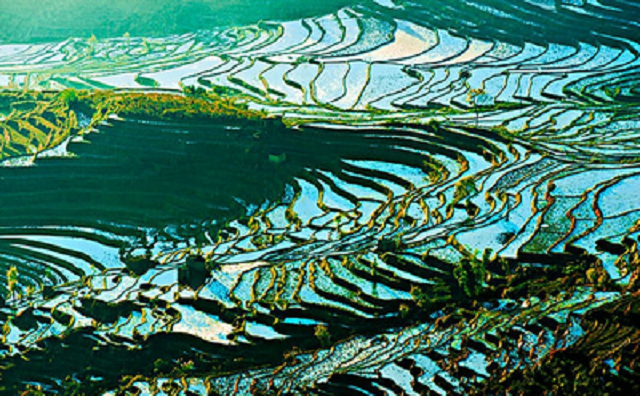 t019796f8fa1120b03b - ����.png