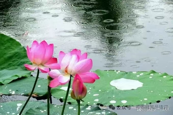 ΢��ͼƬ_20260615195411_94_2.jpg