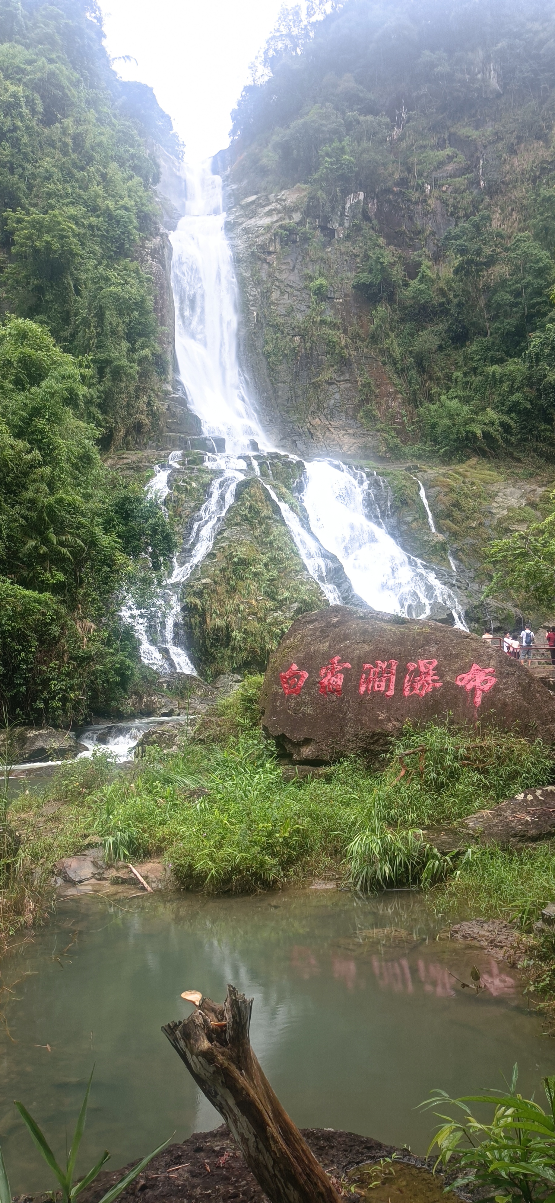 IMG_20260719_135615.jpg