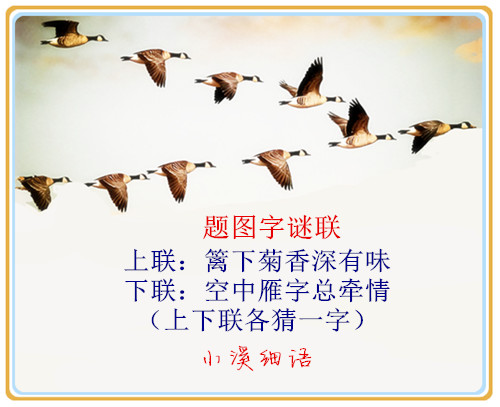 a482456b22b4650360cbcd698.jpg
