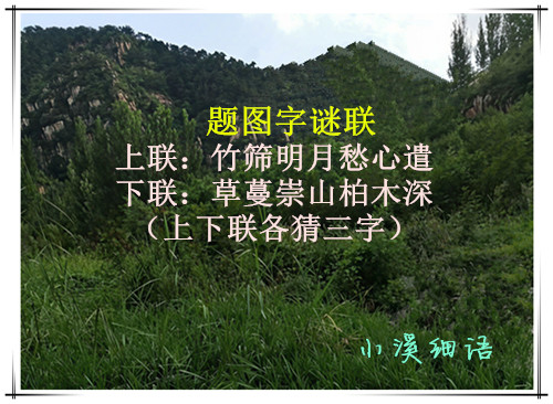 65c3716e11e4ba70ae578da62a3b9f36_����.jpg
