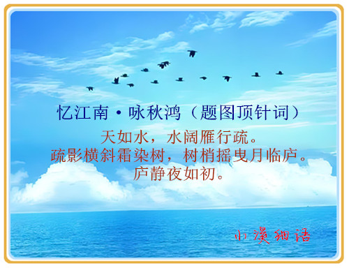 d58269d0f4534693ab6d248859fa58d3_����.jpg